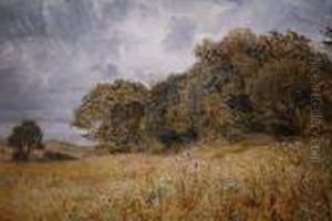 A Wooded Landscape