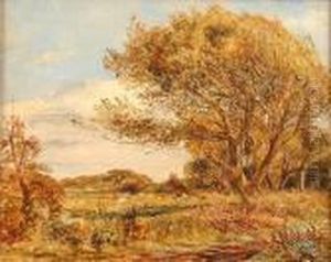 A Wooded Landscape With Cattle A Wooded Landscape With Cattle