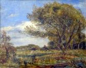 Cattle In A Meadow