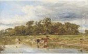 Cattle Watering Cattle Watering
