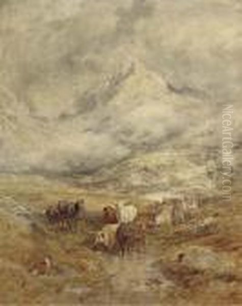 Cattle In A Highland Landscape - view 1
