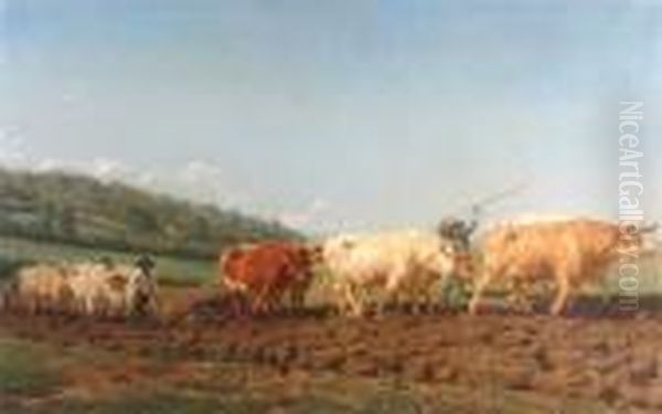 Oxen Working In The Fields - view 1