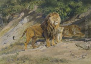 The King Watches
