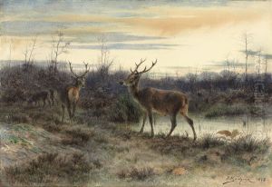 Deers In The Forest At Fontainebleau by Rosa Bonheur