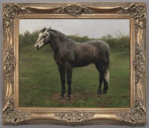 "grey Horse"