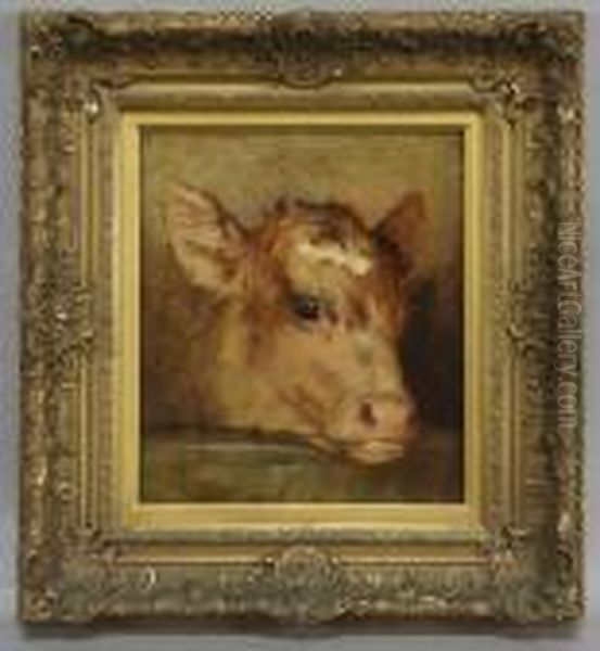 Calf's Head - view 1