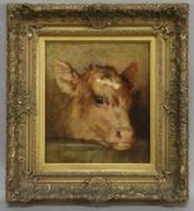 Calf's Head by Rosa Bonheur