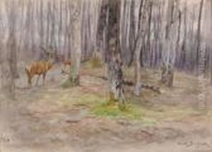 Cerf En Sous-bois