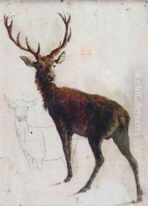 Etude Decervides by Rosa Bonheur