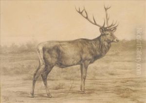 Red Deer Stag by Rosa Bonheur
