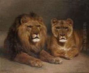 Lion Et Lionne by Rosa Bonheur