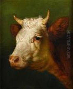 Head Of A Bull by Rosa Bonheur