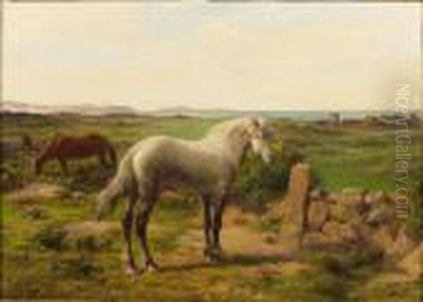 Chevaux En Bord De Mer - view 1