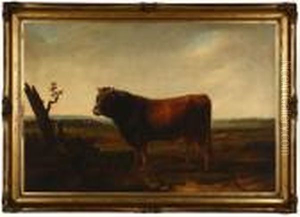 The Bull - view 1
