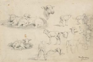 Feuille D'etudes D'agneaux by Rosa Bonheur