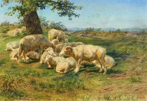 Troupeau De Moutons A L'ombre D'un Chene