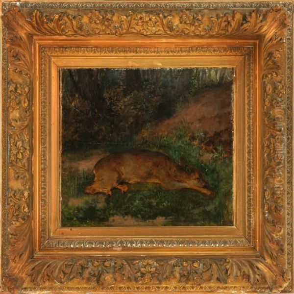 Deer Resting In The Forest - view 1