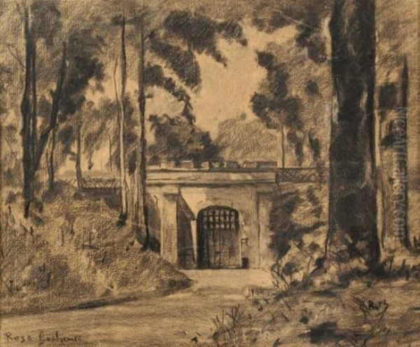 Landscape - view 1