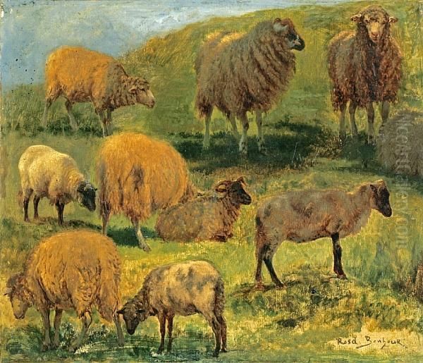 Studies Of Sheep In A Landscape - view 1
