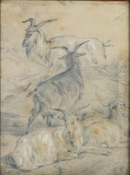 "cabras" - view 1