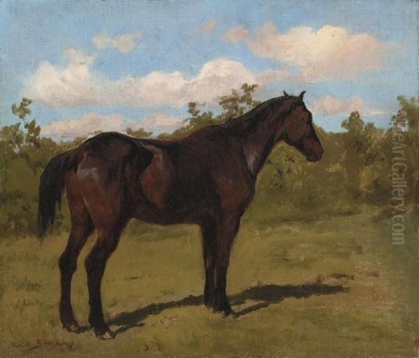 Etude De Cheval - view 1