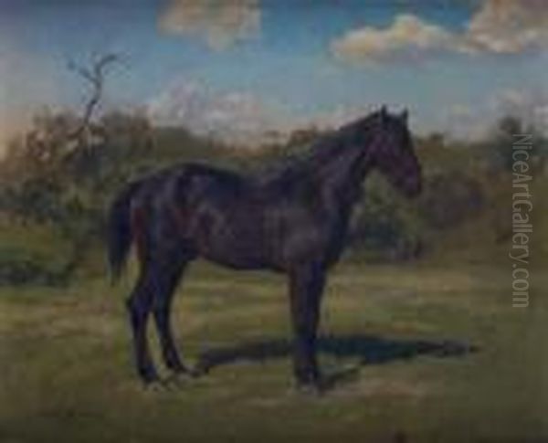 Cheval - view 1