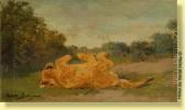 Lionceau Sur Le Dos - view 1