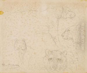 Lion Studies by Rosa Bonheur
