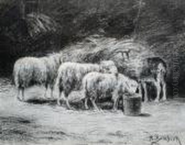 A Study Of Sheep - view 1