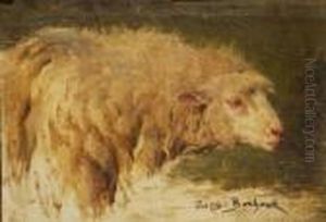 Ritratto Di Pecora by Rosa Bonheur
