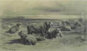 A Dozen Sheep by Rosa Bonheur