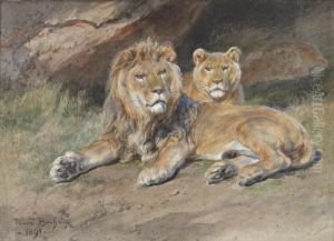 Lion Et Lionne by Rosa Bonheur