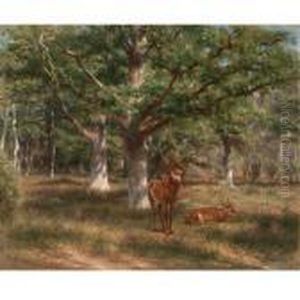 Two Deer In A Forest Glade by Rosa Bonheur