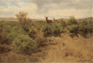 Stag And Doe In A Landscape by Rosa Bonheur
