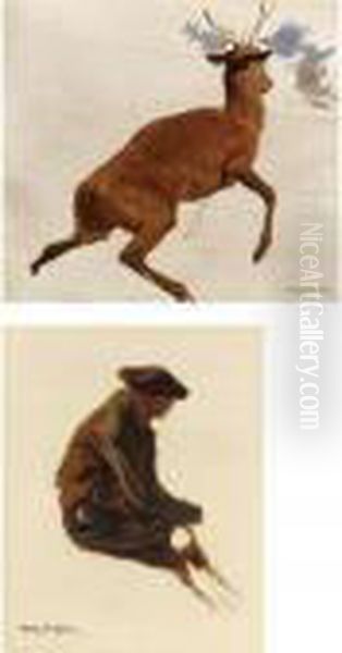 Studies: Stag And A Man - view 1