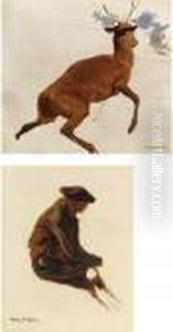 Studies: Stag And A Man by Rosa Bonheur