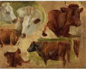 Studies Of Standing Bulls by Rosa Bonheur