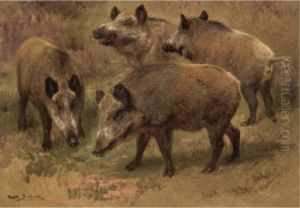 Four Boars In A Landscape by Rosa Bonheur