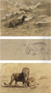 A Pair Of Lions, Sheep And Studies Of A Lioness by Rosa Bonheur