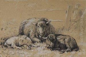 Sheep Resting In A Field by Rosa Bonheur