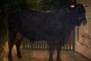 A Bull Tethered To A Wall by Rosa Bonheur