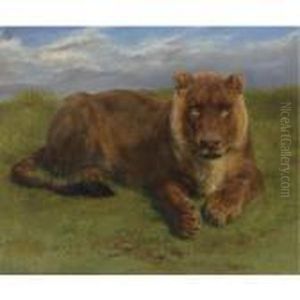 Lioness At Rest by Rosa Bonheur