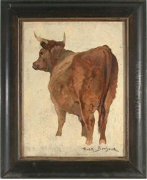 Portrait Of A Bull - view 1