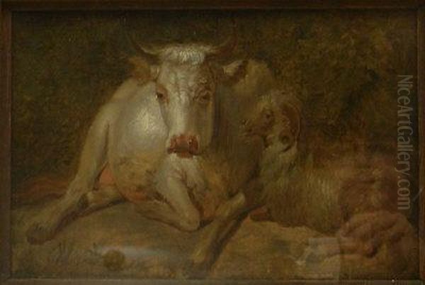 Recumbent Cow - view 1