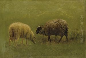 Etude De Moutons by Rosa Bonheur