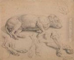 Studies Of A Sleeping Dog by Rosa Bonheur