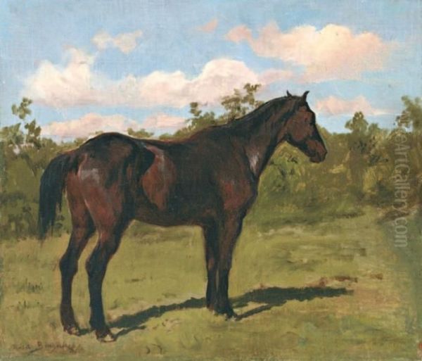Cheval Dans Un Pre - view 1