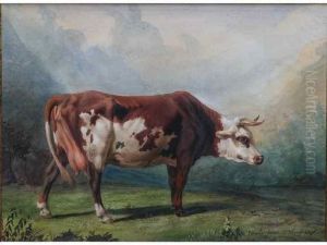Vache Dans Un Paysage Montagneux