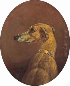 A Study Of An Italian Greyhound by Rosa Bonheur