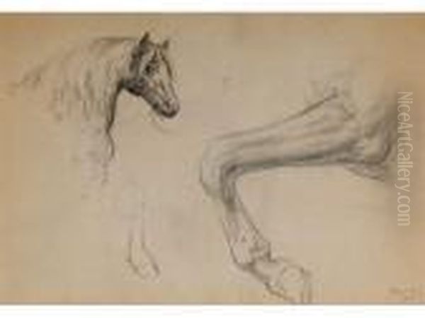 Etude De Cheval - view 1